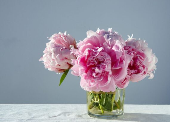 closeup-shot-gorgeous-pink-peonies-short-glass-jar-gray-table