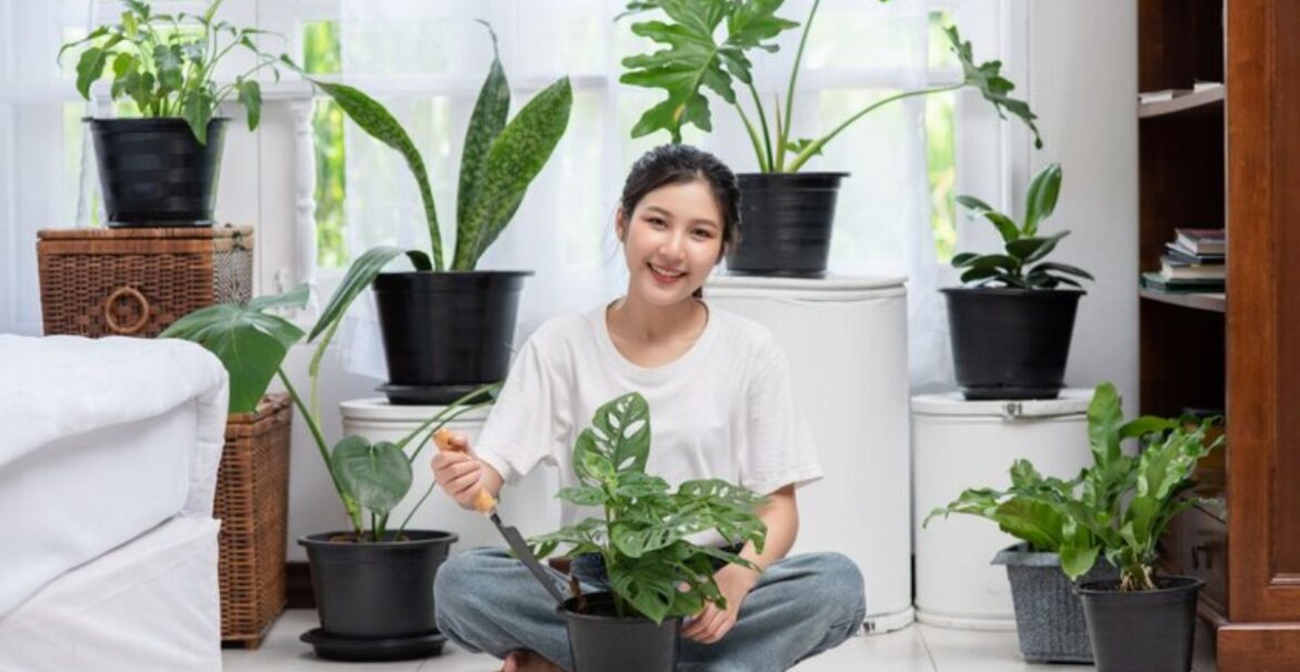 woman-is-sitting-planting-trees-house