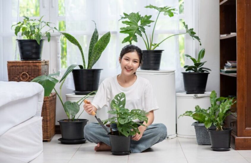 woman-is-sitting-planting-trees-house