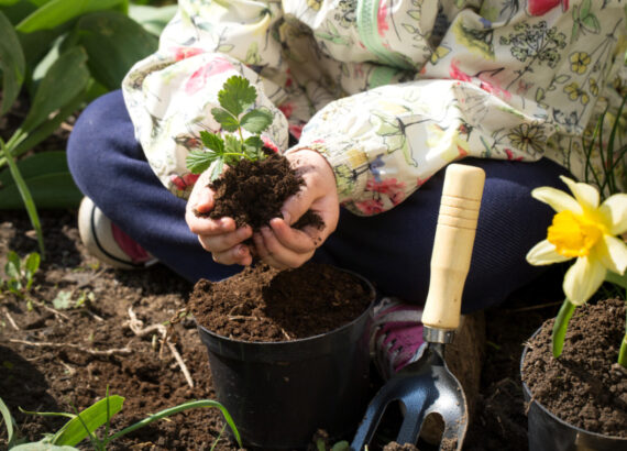 little-girl-planting-flowers-garden
