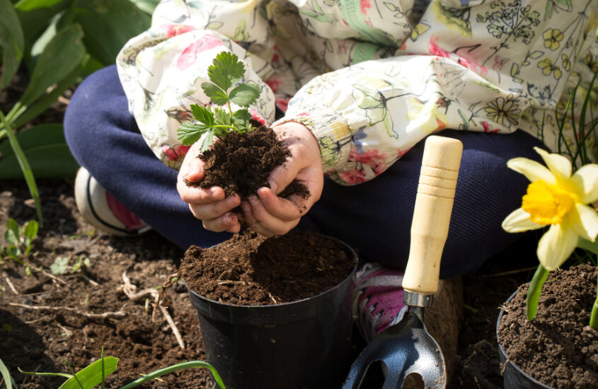 little-girl-planting-flowers-garden