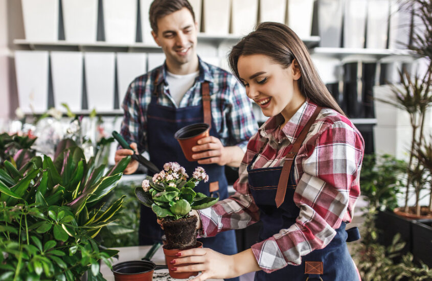 two-gardener-shop-green-home-plants