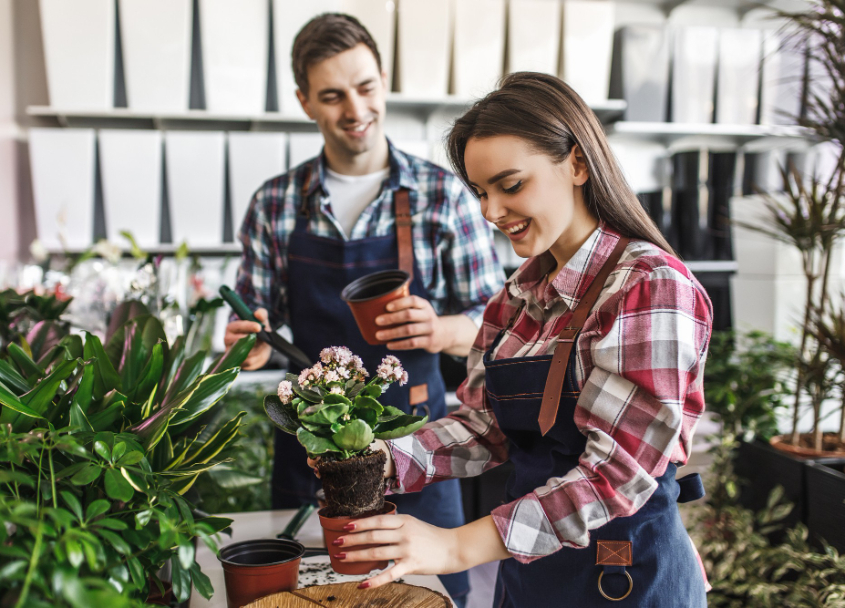 two-gardener-shop-green-home-plants