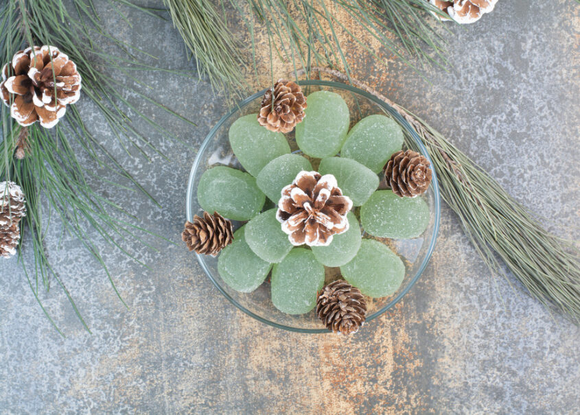 unveiling-the-beauty-and-care-tips-for-ice-plant-jade