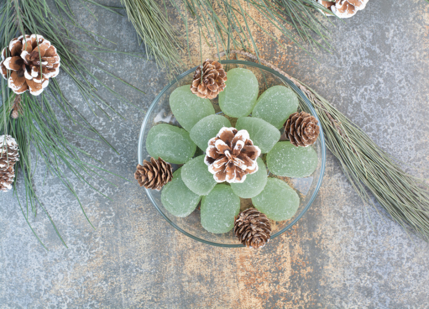 unveiling-the-beauty-and-care-tips-for-ice-plant-jade