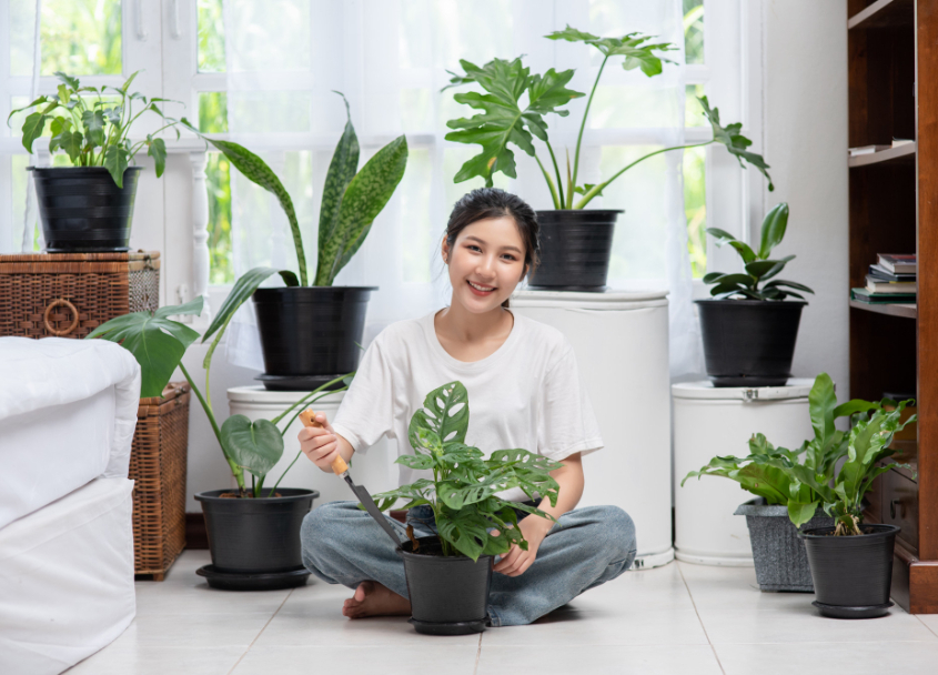 woman-is-sitting-planting-trees-house.